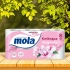 200/141740_mola-white-papier-toaletowy-kwitnaca-magnolia-8-rolek_2311130813184.jpg