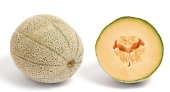 Melon Cantaloupe 1szt