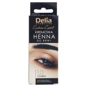 Delia Cosmetics Eyebrow Expert Kremowa henna do brwi 1.0 czarny