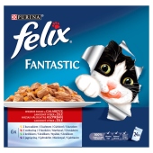 Felix Fantastic Karma dla kotów wiejskie smaki w galaretce 2400 g (24 x 100 g)