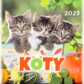 Kalendarz ścienny Koty 2023 1szt