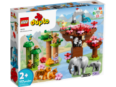 10974 Lego Duplo Dzikie zwierzeta Azji