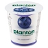 197/183184_planton-blueberry-vegangurt-kokosowy-150-g_2307310742361.jpg