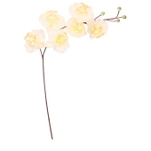 Smarthome Kwiat sztuczny storczyk gałązka 75 cm