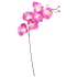 200/185521_smarthome-kwiat-sztuczny-storczyk-galazka-75-cm_231005122523.jpg