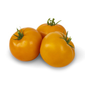 Pomidor żółty 1kg