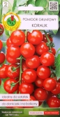 Pomidor gruntowy Koralik