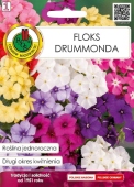 Floks drummonda